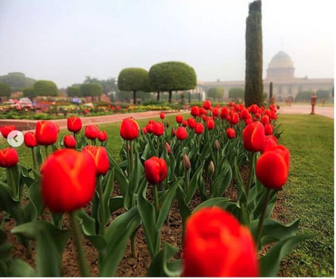 Mughal Gardens: ऑनलाइन बुकिंग करते समय इन स्‍टेप्‍स का रखें ध्‍यान, यहां जानिए टिकट प्राइस और बाकी डिटेल्‍स