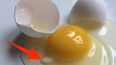 सावन में अंडे से जुड़े 5 झूठे फंडे, बिल्कुल ना करें यकीन