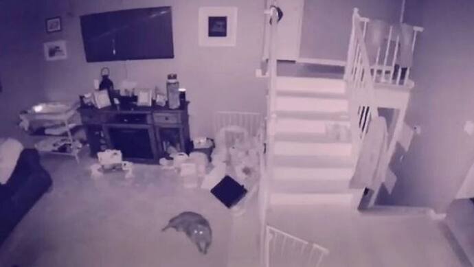 जब आधी रात को सीढ़ियों के पास खेलता मिला 'भूत का बच्चा', जानें फिर क्या हुआ
