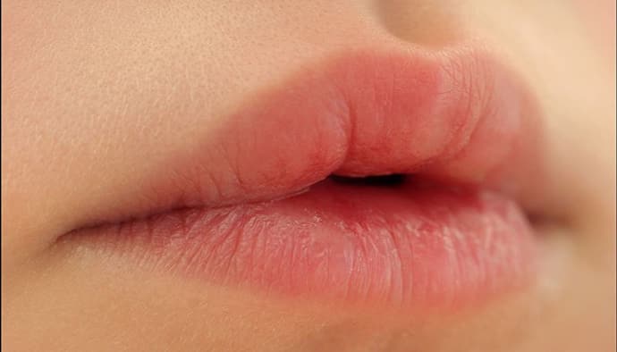 गुलाबी होठ वालों का होता है तेज दिमाग, लिप्स देखकर भी जान सकते हैं नेचर और फ्यूचर