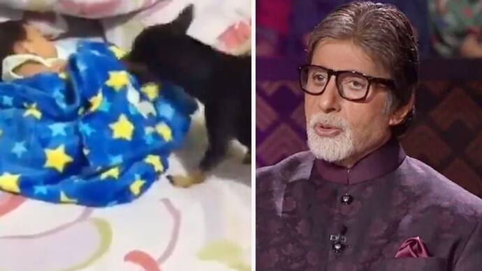 सोते हुए बच्चे को कुत्ते ने उढ़ाया कंबल, अमिताभ ने वीडियो शेयर कर कहा, 'ये कैसे हो सकता है'