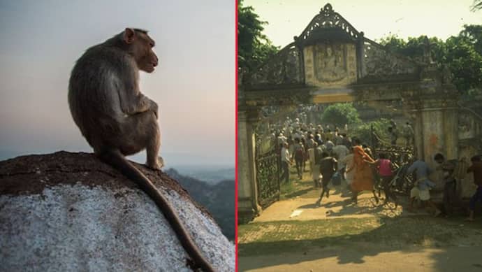 अयोध्या विवाद : वो काला बंदर, जिसे देखते हुए जज ने सुनाया था विवादित इमारत का ताला खोलने का फैसला