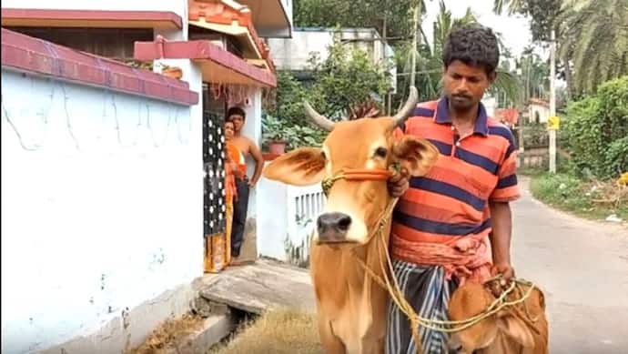भाजपा नेता ने कहा- गाय के दूध में सोना है, यह सुन गायों को लेकर बैंक पहुंचा शख्स कहा, मुझे गोल्ड लोन चाहिए