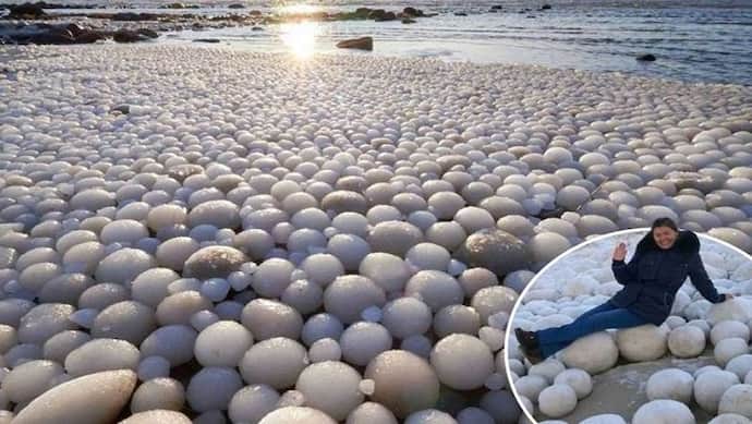 रातभर में समुद्र किनारे भर गए अंडे ही अंडे
