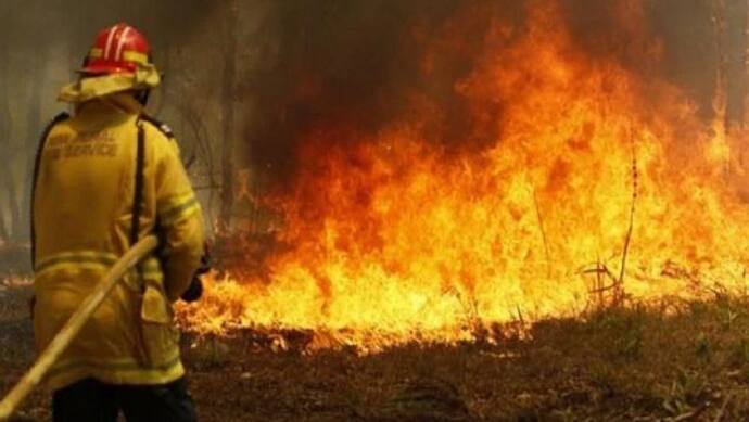ऑस्ट्रेलिया: जंगलों में तेजी से फैल रहा आग का तांडव, 150 से अधिक घर हुए जल के खाक, आपातकाल घोषित