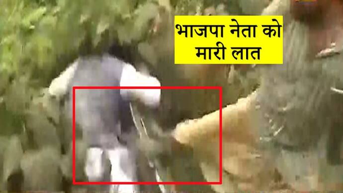 भाजपा नेता को मारी गई लात, झाड़ियों में जाकर गिरा... प. बंगाल में उपचुनाव के दौरान हिंसा