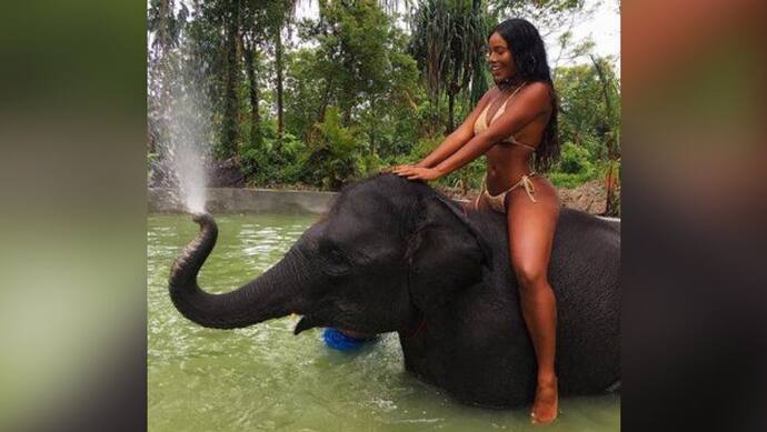 आखिर हाथी क्यों डालता है अपने शरीर के ऊपर पानी? हैरान करने वाली है वजह