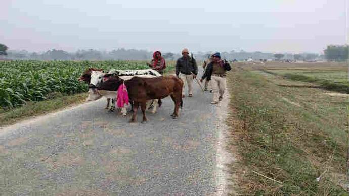 बिहार नेपाल सीमा पर मवेशी तस्कर और किसानों में झड़प, तस्करों ने पिता पुत्र को मारी गोली