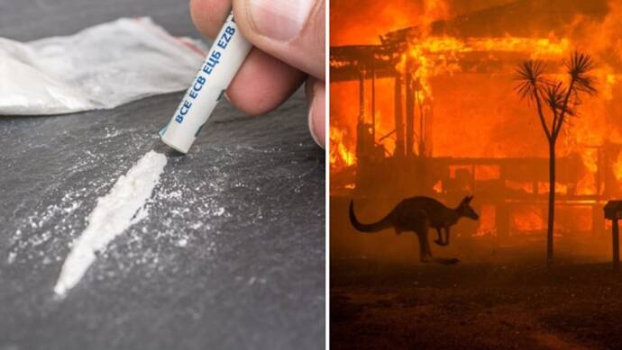 ड्रग्स की बिक्री बढ़ाने को तस्कर ने किया शर्मनाक काम, जलते ऑस्ट्रेलिया के बहाने बढ़ाया धंधा