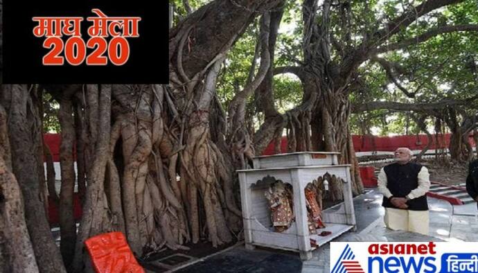 युगो युगो से है इस प्राचीन पेड़ की ये महत्ता, पीएम मोदी भी करने आए थे दर्शन