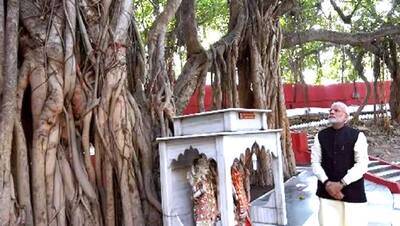 PM मोदी की वजह से लोग कर सकते हैं इस पेड़ का दर्शन, अकबर चाहकर भी नहीं मिटा सका इसे