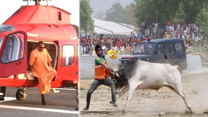 CM योगी के लिए अब गाय सांड रोकेंगे जूनियर इंजीनियर्स, रस्सी लेकर चौराहों पर होंगे तैनात