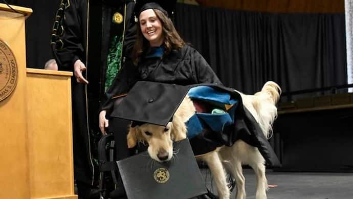 अमेरिका में हुआ कमाल, मालकिन के साथ उसके कुत्ते को भी यूनिवर्सिटी ने दी ग्रैजुएशन की डिग्री
