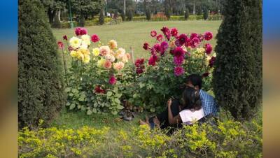 भारत के इन प्रेमियों को नहीं लगता किसी से डर, सरेआम पार्कों में करते दिखे ऐसी अश्लील हरकतें