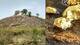 Bihar Gold Mines: বিহারে প্রায় ২২২.৮৮৫ মিলিয়ন টন সোনার খনির খোঁজ, দেশের প্রায় ৪৪ শতাংশ সোনা মজুত রয়েছে এখানে, দ্রুত শুরু হবে খননকার্য