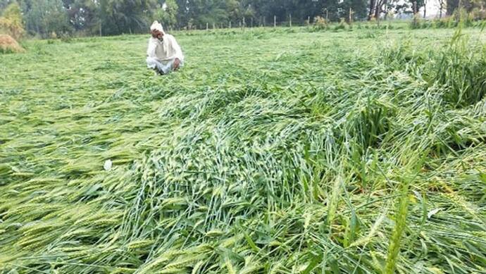 ओलावृष्टि और बेमौसम बारिश से प्रभावित किसानों को मुआवजा देने की भाजपा सदस्यों ने की मांग