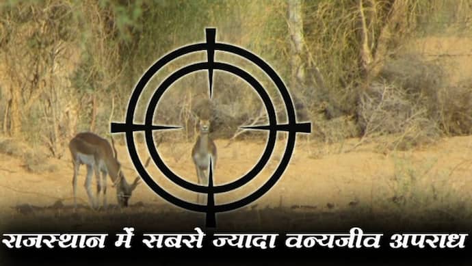 वन्यजीव अपराध के मामले में राजस्थान नंबर 1, कैग की रिपोर्ट में हुआ खुलासा