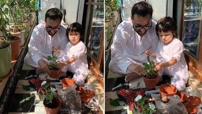 कोरोना के बीच पापा सैफ के साथ घर में पौधा लगाते दिखा करीना का लाडला, PHOTOS