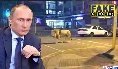Fact Check; कोरोना वायरस से जंग, रूस में लॉकडाउन के लिए पुतिन ने सड़कों पर छोड़े 800 शेर