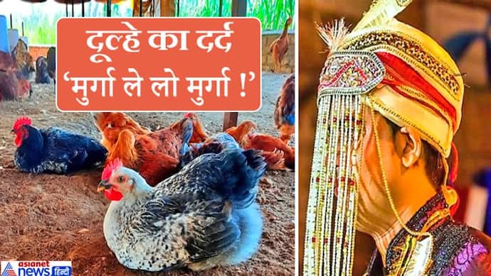 मेहमानों को दावत देने पाले थे 500 मुर्गे, अब दु:खी होकर पड़ोसियों से पूछ रहा दूल्हा-'सस्ते में मुर्गा चाहिए'