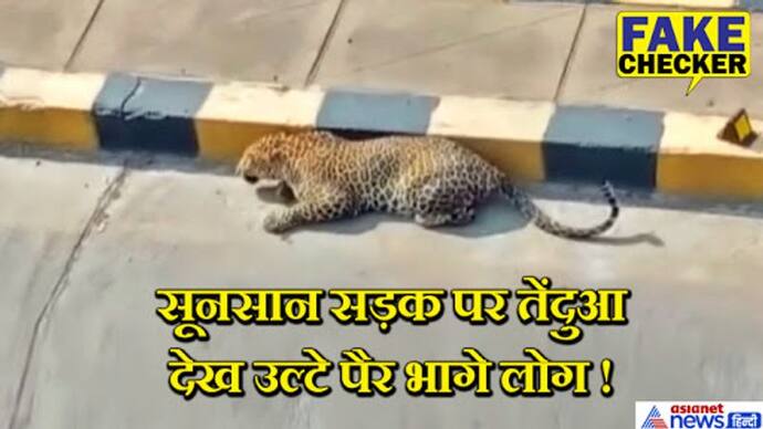 Fact Check: लॉकडाउन में सड़क पर आराम फरमाता दिखा खूंखार तेंदुआ, क्या दिल्ली का है ये वीडियो?