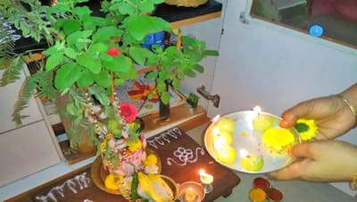 तुलसी की पूजा से घर में बनी रहती है सुख-शांति, दुर्भाग्य से बचा सकते हैं ये 4 उपाय