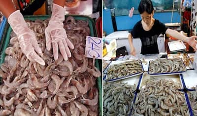 अब झींगा मछली से फैला खतरनाक वायरस, 1 संक्रमित मछली लाखों को दे सकती है मौत