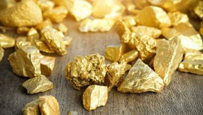 कोरोना संकट में मालामाल हुई झारखंड सरकार, मिला 250 किलो सोने का खजाना..
