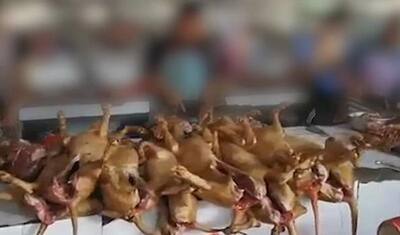 अब सड़कों से आवारा कुत्ते चुराकर खा रहे चीन के लोग, दुनिया को कोरोना बांट सजा रहे 'मौत का मार्केट'