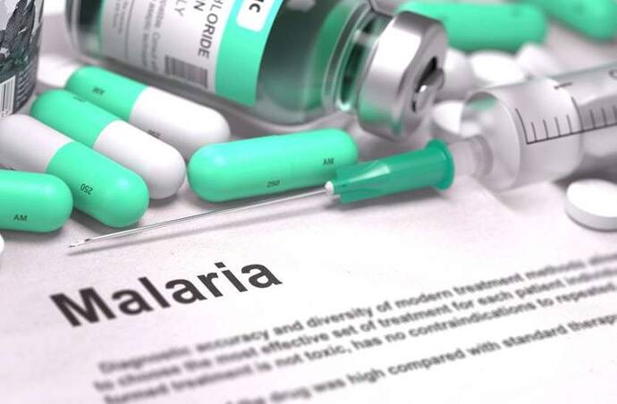 मलेरिया रोग को दूर करने के 5 घरेलू उपाय