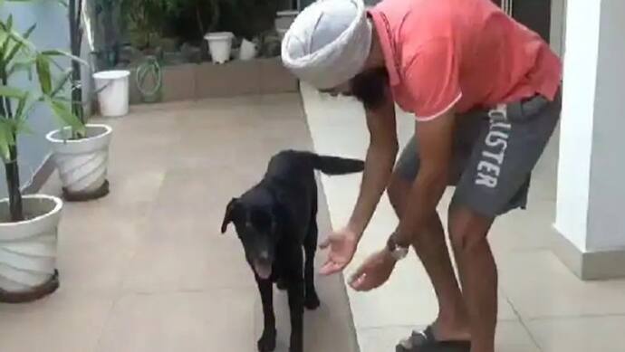 इंसानियत: अंधे कुत्ते का वीडियो देख भावुक हुई लड़की,11 हजार रु. खर्च कर दिल्ली से लेने पहुंची जालंधर