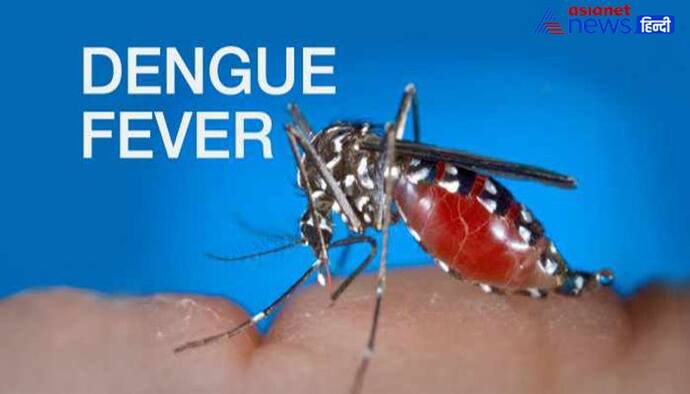 डेंगू बुखार क्या है और यह कैसे होता है?
