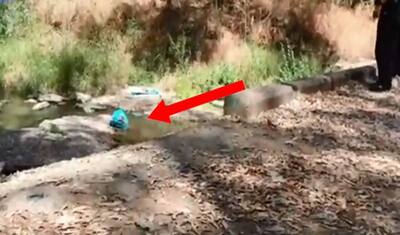 तालाब के किनारे हिलती थैली से मचा हड़कंप, बैग खोलते ही इंसान की हैवानियत देख दहल गया दिल
