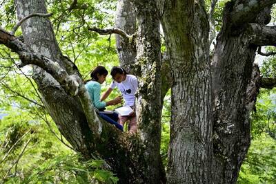 गांव में नहीं आते नेटवर्क, तो इन दो बहनों ने पेड़ पर बनाया ठिकाना, ताकि ऑनलाइन कर सकें पढ़ाई