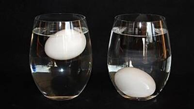 वायरल हुआ अंडे उबालने का अबतक का सबसे आसान तरीका, छिलके उतारने की खत्म हो जाएगी झंझट