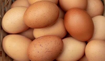 99 प्रतिशत लोग अंडा फोड़ते हुए कर बैठते हैं ये 1 बड़ी गलती, ये हैं छिलकों को अलग करने का सबसे सही तरीका