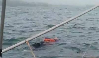 पास जाते ही जिंदा हो उठी 'बांस की बल्ली', दो साल से लापता इस हाल में समुद्र में तैर रही थी महिला