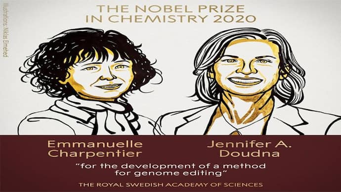 रसायन क्षेत्र में खोज के लिए फ्रांस की ईमैनुएल और अमेरिका की जेनिफर को मिलेगा साल 2020 का नोबेल पुरस्कार