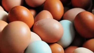 भूल से भी इन तरीकों से ना खाएं अंडे, फायदा नहीं, तुरंत होने लगेगा नुकसान