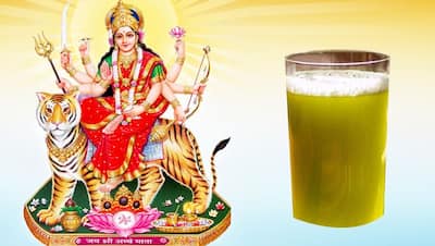 देवी भागवत में बताए गए हैं ये 5 उपाय, नवरात्रि में इन्हें करने से पूरी हो सकती हैं आपकी हर इच्छा