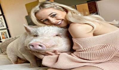 फ्लैट में प्रेमी नहीं, 80 किलो के सूअर के साथ ही सोती है ये लड़की, दूसरे कमरे में सोता है होने वाला पति