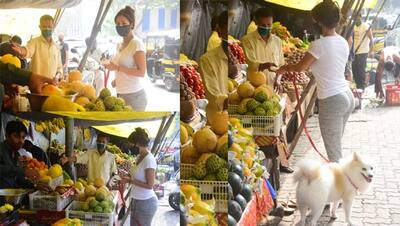 मुंबई की सड़कों पर लगे ठेले से फल खरीदते दिखी मलाइका अरोड़ा, बिना मेकअप टी-शर्ट और लोअर में आई नजर