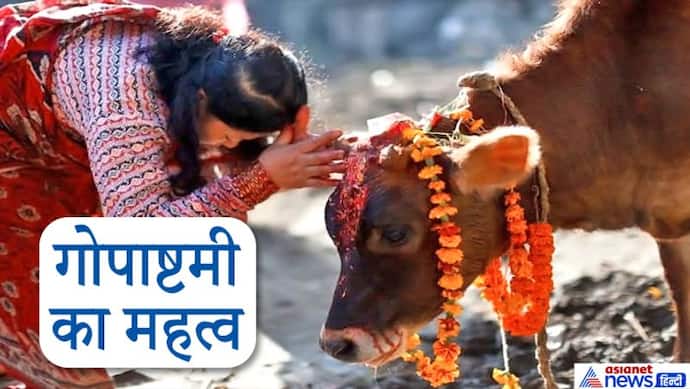 गोपाष्टमी 22 नवंबर को, इस दिन करें गायों की पूजा, जानिए क्या है इस उत्सव का महत्व