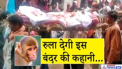 ऐसा क्या था इस बंदर में जिसकी मौत पर रोया पूरा गांव,  DJ पर राम धुन के साथ निकली अंतिम यात्रा...