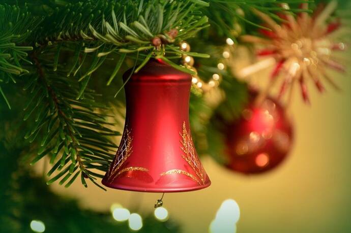 Christmas Tree Vastu Tips: জেনে নিন ক্রিসমাস ট্রি রাখলে কী হয়, বাস্তু মতে এই গাছের উপকারিতা