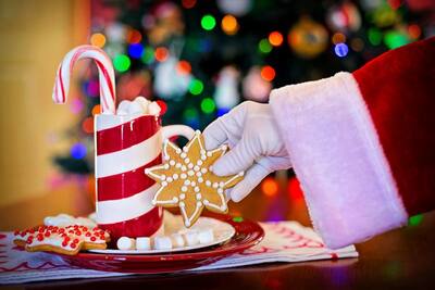 Interesting Christmas Facts: বড়দিন পালনের আগে জেনে নিন ক্রিসমাসের বিষয়ে আকর্ষণীয় এই  তথ্যগুলি