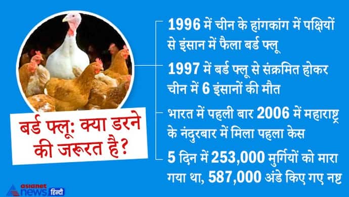 24 साल पहले चीन में बर्ड फ्लू से इंसानों की मौत हुई थी, अब भारत में बढ़ा खतरा, क्या इससे डरने की जरूरत है?