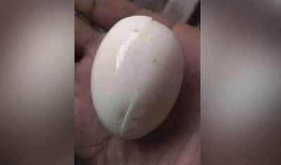 जब मुर्गा पहनता है कंडोम तो पैदा होता है ऐसा अंडा, सोशल मीडिया पर वायरल हुई बिना जर्दी के अंडे की तस्वीर