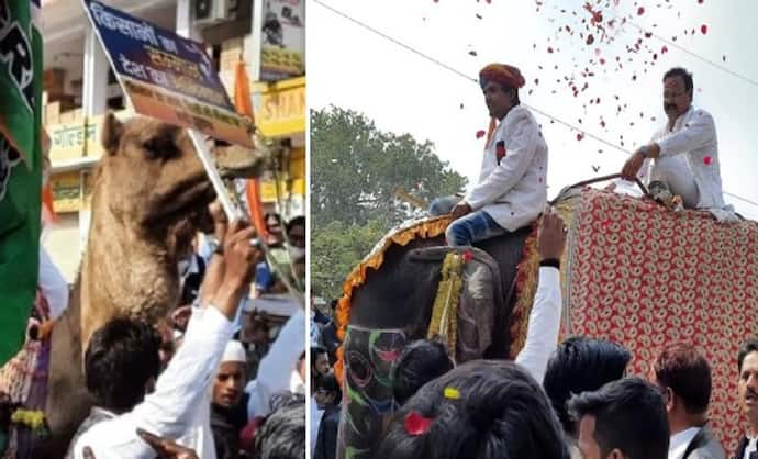 विरोध की एक तस्वीर ऐसी भी: न ट्रैक्टर न कार..राजस्थान में ऊंट-हाथी पर सवार होकर निकले मंत्री और MLA
