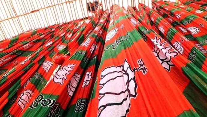 गुजरात राज्यसभा उपचुनाव नतीजे: भाजपा ने दोनों सीटों पर जीत दर्ज की, एक सीट कांग्रेस के पास थी
